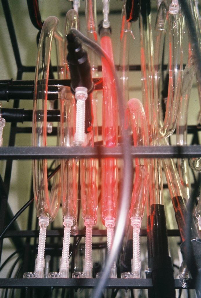 Thumbnail image for Rachel Ara