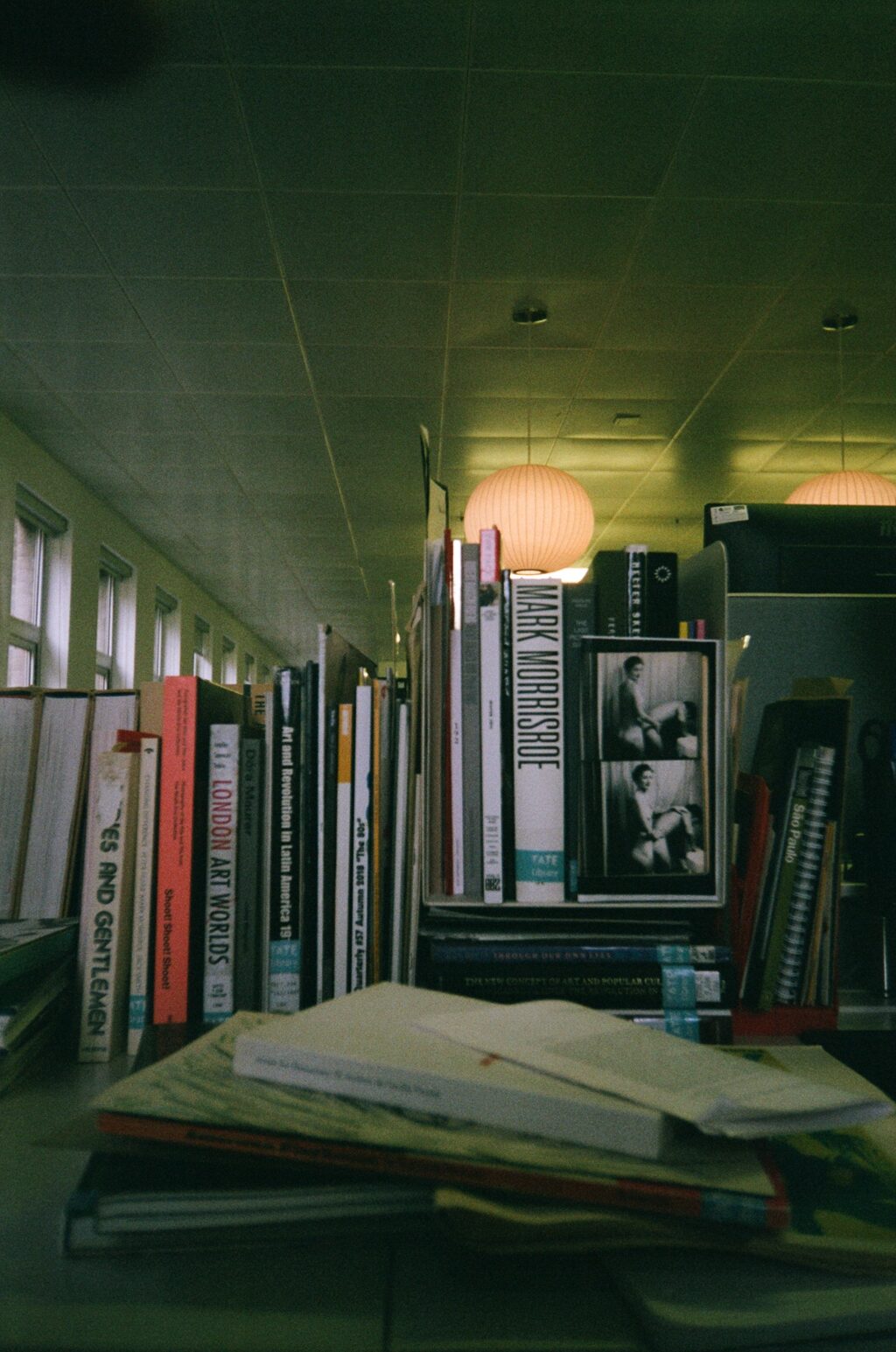 Journal: Death Becomes Herr by Laurie Barron — DATEAGLE ART