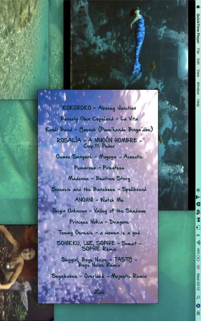 Thumbnail image for Zoë Marden